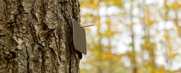 Baumbestattung - Baum mit Schild, ein Grab im Wald Baumbestattung - Baum mit Schild, ein Grab im Wald