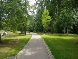 Waldfriedhof Gerlingen Gehweg zum Friedhof Waldfriedhof Gerlingen Gehweg zum Friedhof