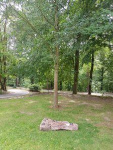 Waldfriedhof Gerlingen Stein